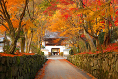 宇治(興聖寺).jpg