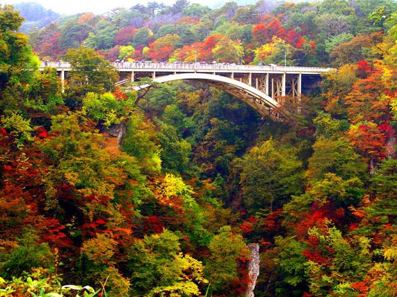 紅葉情報14東北の人気紅葉スポット 四季のイベント情報館